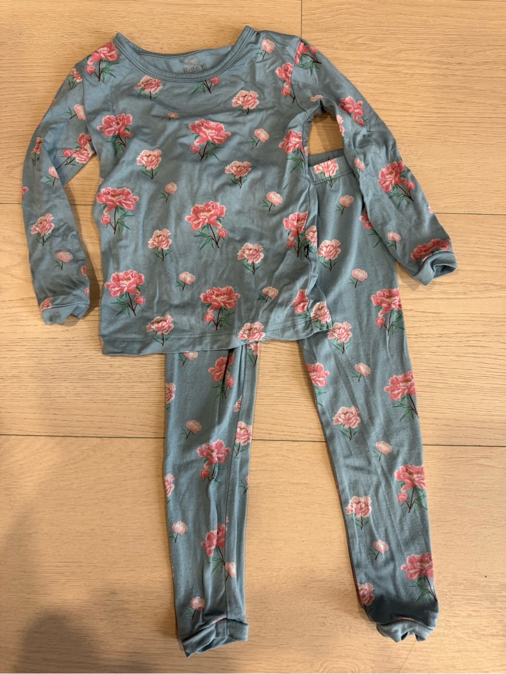 Kyte BABY Blue Floral Long Sleeve Pajama Set with Pink Flowers | 2T